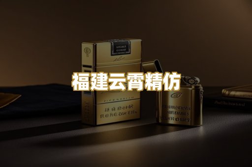 福建云霄精仿
